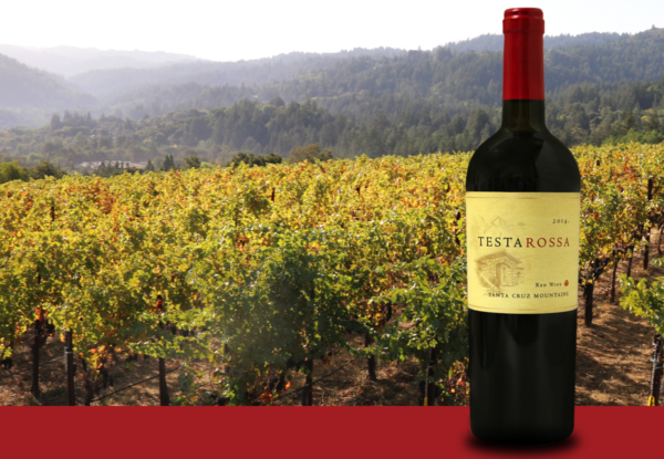 Santa Cruz Mountains vineyard and bottle